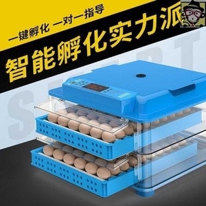 家禽孵化器 如何科學高效地孵小雞