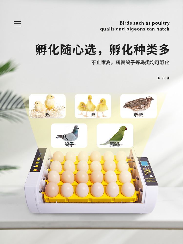 小型家用24枚小雞孵化器 輕松開啟家庭養殖之旅
