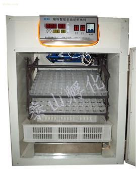 全自動孵化器 現代家禽養殖的高效解決方案