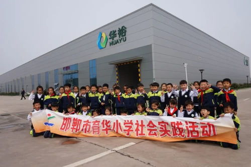 農(nóng)業(yè)知識(shí)與智慧 從花生的生長(zhǎng)到麥苗韭菜的辨識(shí)，代表建議與家禽孵化的啟示