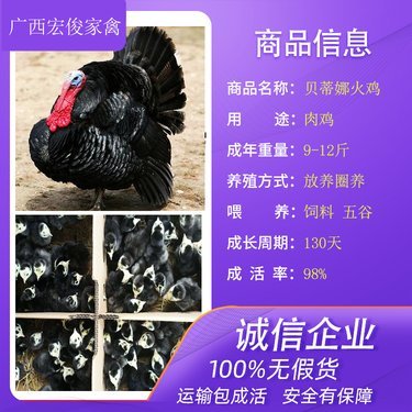 家禽市場價(jià)格與孵化周期分析