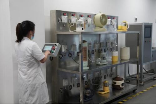 以用戶為中心，小熊電器差異化創新引領品質生活新篇章